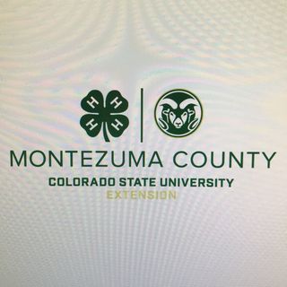 Montezuma County Department of Social Services