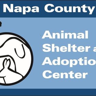 Napa County Health And Human Services